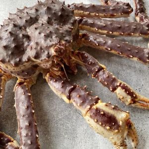 Live WILD King crab 495 aed/kg - from 3 to 4kg