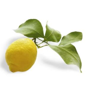 Lemons with leaves from Italy - 500g - huge juicy lemons