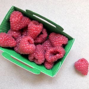Premium raspberry 'tulameen' - 100g