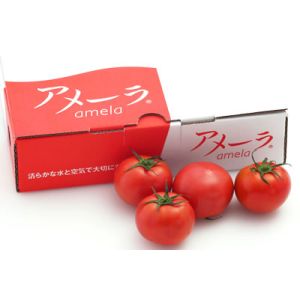 Premium Japanese amela tomato size S - 1kg - full-bodied, rich in flavor and sweeter 