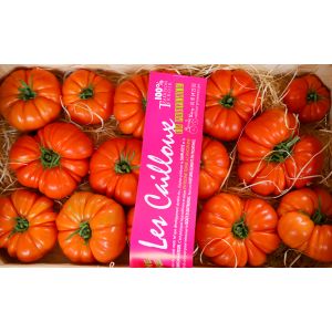 Premium Marmande tomatoes - 1kg - sustainable agriculture