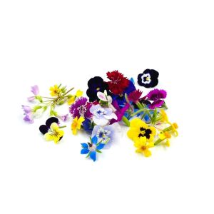 Freshly cut mix edible flowers - 25 pieces - ORDER BEFORE 12NN FOR NEXT DAY DELIVERY