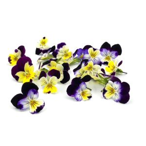Freshly cut mix Viola edible flowers - 20 pieces - ORDER BEFORE 12NN FOR NEXT DAY DELIVERY 