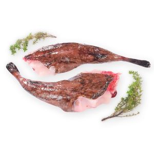 Fresh WILD monkfish tail / queue de lotte sauvage 240 aed/kg - 1kg - price will be adjusted as per final weight