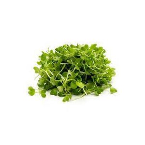 Freshly cut soil-grown wild mustard micro cress - 30g - ORDER BEFORE 12NN FOR NEXT DAY DELIVERY