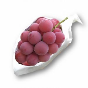 Premium Japanese "Queen Nina" grapes - 600g