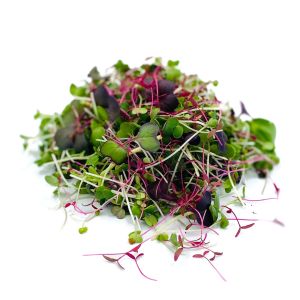 Freshly cut soil-grown Rainbow micro green salad mix - 40g - ORDER BEFORE 12NN FOR NEXT DAY DELIVERY