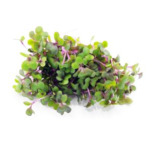 Freshly cut soil-grown red cabbage micro cress - 30g - ORDER BEFORE 12NN FOR NEXT DAY DELIVERY