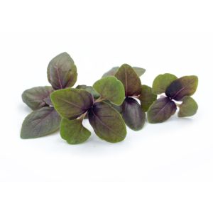Freshly cut soil-grown basil red rubin micro cress - 15g - ORDER BEFORE 12NN FOR NEXT DAY DELIVERY