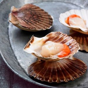 Dived, live, WILD scallops with shell from Norway size 3/4 - 1kg