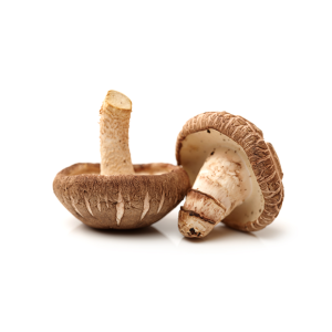 Fresh shitake mushroom - 1kg