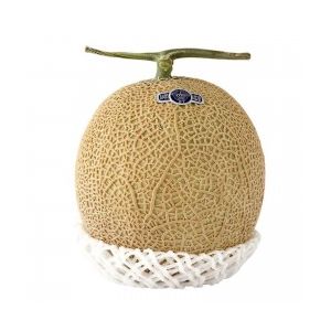 Premium Japanese Shizuoka crown melon "King of Fruits" - 1pc is about 1.5kg - 7-day lead time