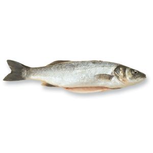 Whole fresh farmed seabass 265 aed/kg - from 1.8 to 2.5kg - price will be adjusted as per final weight 