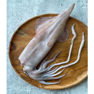 WILD-caught squid - 500g (frozen)