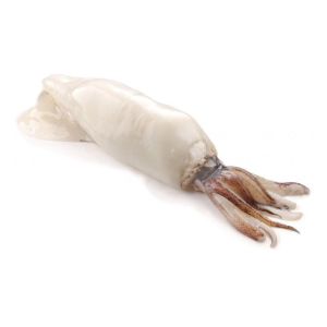 WILD-caught squid medium size 10-20 cm - sold in 500g (frozen)