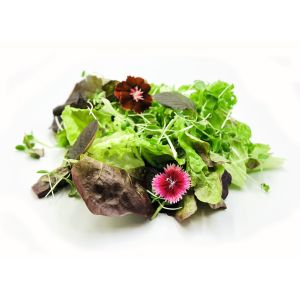 Freshly cut soil-grown Summer Asian Salad - 100g - ORDER BEFORE 12NN FOR NEXT DAY DELIVERY
