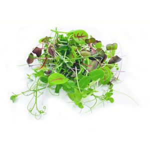 Freshly cut soil-grown micro green summer salad - 40g - ORDER BEFORE 12NN FOR NEXT DAY DELIVERY