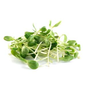 Freshly cut soil-grown sunflower micro cress - 75g - ORDER BEFORE 12NN FOR NEXT DAY DELIVERY