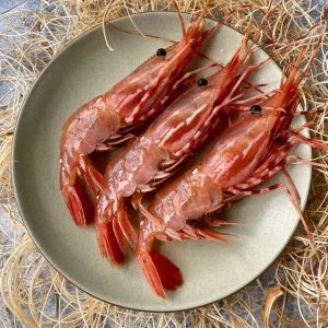Fresh Japanese sweet shrimps / amaebi - 1kg 