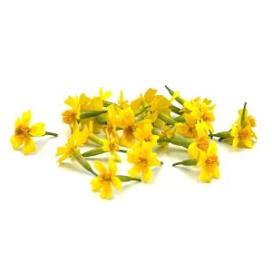 Freshly cut Tangerine gem edible flowers - 20 pieces - ORDER BEFORE 12NN FOR NEXT DAY DELIVERY
