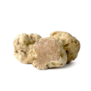 Fresh white truffle of Alba EXTRA (tuber magnatum pico) cal 30/50 - 30g  - weight and price may vary depending on market conditions