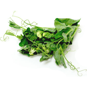 Freshly cut soil-grown tendril pea micro cress - 40g - ORDER BEFORE 12NN FOR NEXT DAY DELIVERY