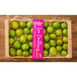 Premium green Zebra tomatoes "les cailloux" - 500g - sustainable agriculture