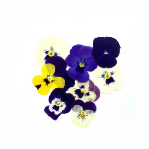 Freshly cut mix Viola sorbet edible flowers - 20 pieces - ORDER BEFORE 12NN FOR NEXT DAY DELIVERY 