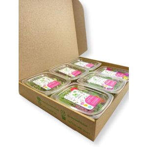 Freshly cut soil-grown special selection - premium box - 6 cress / Box - ORDER BEFORE 12NN FOR NEXT DAY DELIVERY