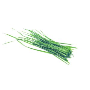 Freshly cut soil-grown wheatgrass - 40g - ORDER BEFORE 12NN FOR NEXT DAY DELIVERY