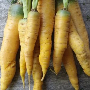 Yellow carrots - 1kg