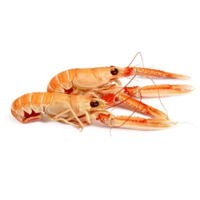 Chilled WILD langoustines medium from Brittany size 15/20 - 1kg 