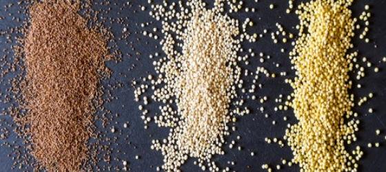Why is quinoa so trendy ? 